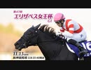 【中央競馬】プロ馬券師よっさんの第47回 エリザベス女王杯（GⅠ）