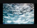 【NNIオリジナル】Named Fish