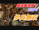 【Mount & Blade 2】近接のみの歩兵一人で無双する事を最高難易度で目指す　その３３