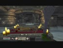 The Elder Scrolls Ⅳ:OBLIVION＃36