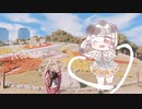 【おひむ】愛言葉IV　踊ってみた【りり誕】