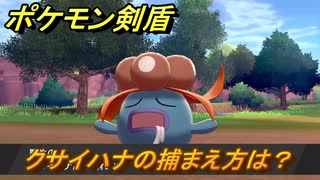 ポケモン剣盾　クサイハナを捕まえる方法！オススメの場所は？天気は？ポケモン図鑑コンプへの道！　最新版【ポケモンソード・シールド】