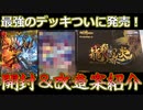 龍覇爆炎発売したけどどう遊ぶ？デッキの改造案も紹介します！！！【デュエマ開封】