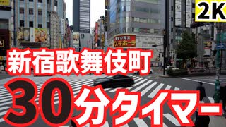 【30分タイマー付き】平日お昼の新宿・歌舞伎町側を歩く