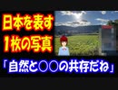 【海外の反応】 日本の 凄さを 表した 一枚の写真に 海外が 超感動！ 「何も無い所に 綺麗な自販機があるのが 心地良い」