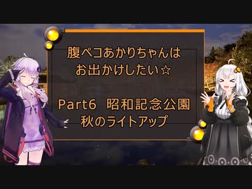 腹ペコあかりちゃんはお出かけしたい☆ Part6　昭和記念公園秋のライトアップ
