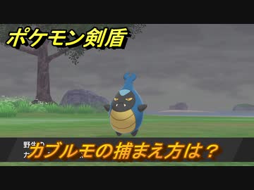 ポケモン剣盾 カブルモを捕まえる方法 オススメの場所は 天気は ポケモン図鑑コンプへの道 最新版 ポケモンソード シールド ニコニコ動画