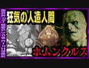 【 ゆっくり解説 】 人造人間「ホムンクルス」 神への挑戦 そのトンデモ製造方法