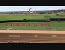【ウマ娘風英語版】第39回ブリーダーズカップ・クラシック(2022・ダート・2000ｍ)