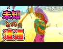 ヴィヴィアンに4つのバグ技で挑んでみた【ブレワイ BotW】裏技 バグ 検証 ゆっくり実況 glitch