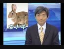 ホモと見る昔のネットでよく貼られていた画像.mp7