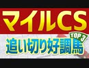 【マイルチャンピオンシップ2022】勝率80％を誇る鉄板データとは？【マイルチャンピオンS】