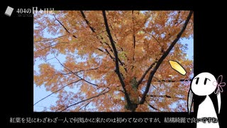 秋の昭和記念公園行った｜404の日々日記