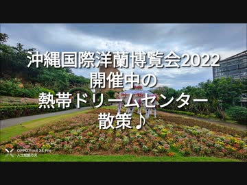 沖縄国際洋蘭博覧会開催中の熱帯ドリームセンターを散策♪