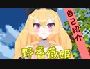 【自己紹介】野薔薇姫