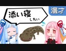 琴葉姉妹漫才「オオサンショウウオ」
