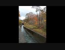【NNIオリジナル】Watercourse