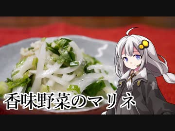 釣れなくても料理！セロリ玉ねぎさきいかイタリアンドレッシングマリネ！【VOICEROIDキッチン】