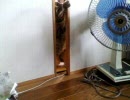 おもわせぶりな猫