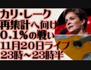 11月20日（日）ライブ告知　カリ・レーク再集計へ0.1%の戦い