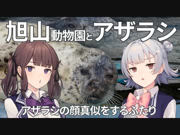 【小春六花＆夏色花梨車載】ふたりは旭山動物園へ！可愛いアザラシさんと目線をくれるフクロウさん【第2話】