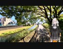 紲星あかりと行く黒目川5 黒目川・落合川合流 都境・埼玉県境まで