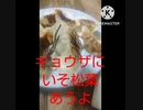 ギョウザにいそ松葉あうよ昆布の採取どうゆうお仕事ギョウザ違った漁業さ