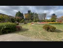 宮城県仙台市中心部にある勾当台公園　秋の様子2　2022　1114