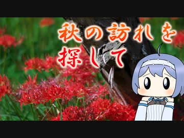 秋の訪れを探して【丸目CRFと今日”を”旅する】