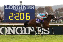 【JRA・CM風】2018年ジャパンカップ　アーモンドアイ