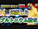 【2017年茨城】突然破裂したプルトニウム粉末…研究室が汚染され、作業員が内部被ばく…「開発センター被ばく事故」【ゆっくり解説】