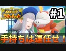 【実況】手持ちはダイスで、キミにきめた！#1【ポケットモンスター スカーレット】
