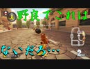 マリオカート8DX初心者ががんばって1位をとるだけ【#191】