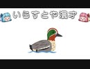 いらすとや漫才「コガモのイラスト」