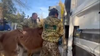 ホモと見るウクライナの動物園から動物を略奪するロシア軍