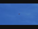 [DCS World] Yak-52 IAC Sportsman Class Training スポーツマンクラストレーニング