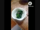 ほうれん草にいそ松葉いける恋に落ちるほうれん草違った惚れそう #ほうれん草 #塩昆布 #親父ギャグ #だじゃれ #大阪 #茨木 #JR茨木 #ふるさと納税 #ふるさと納税返礼品 #茨木市ふるさと納税