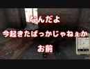 【Arma3】なんだよ今起きたばっかじゃないかお前【惑星Armaの人々 #10】