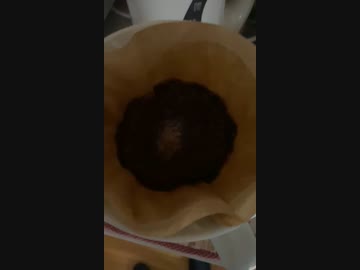 今日の珈琲
