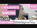 いきものがかり「SAKURA」をアルトサックスで演奏 楽譜 コード 付き演奏動画