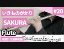いきものがかり「SAKURA」をフルートで演奏 楽譜 コード 付き演奏動画