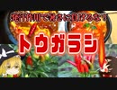 【ゆっくり解説】トウガラシの栄養について解説！
