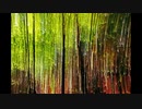 【NNIオリジナル】Oracle Forest