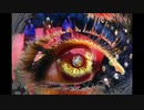 【NNIオリジナル】See Through Evils