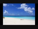 【NNIオリジナル】Mujin Island