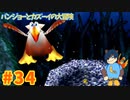 【バンジョーとカズーイの大冒険】さよなら、エアリーちゃん…。【Part34】