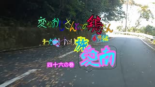 変なおじさんとこの　鶏さん番外編　ゆらり旅愛南　四十六の巻　あいなんの車窓１９　中玉の中を移動中の車窓