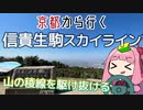 運転初心者でも行ける！信貴生駒スカイライン【京都から行く初心者ドライブスポット #26】