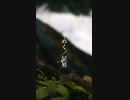 冬めく／星界