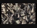 【NNIオリジナル】Spine